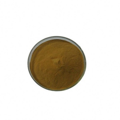 High quality schizenopeta extract/schizonepeta tenuifolia/cat nut plant extract powder 4:1