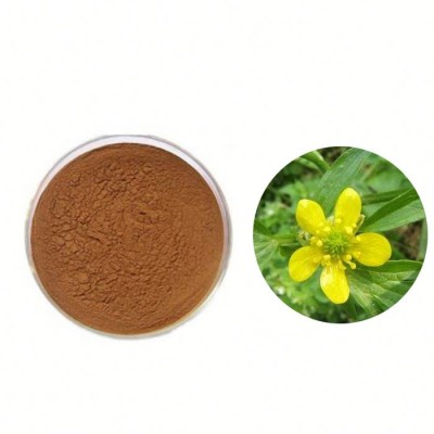 Manufacture Provides Pure Natural High Quality 10:1 Cat's Claw Extract