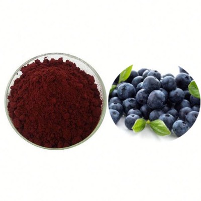 High quality factory price acai berry freeze dried powder