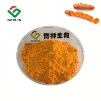 Turmeric root extract powder 95% curcumin supplements turmeric powder 1kg price